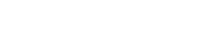 BDLN International logo